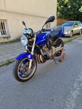  Honda Hornet