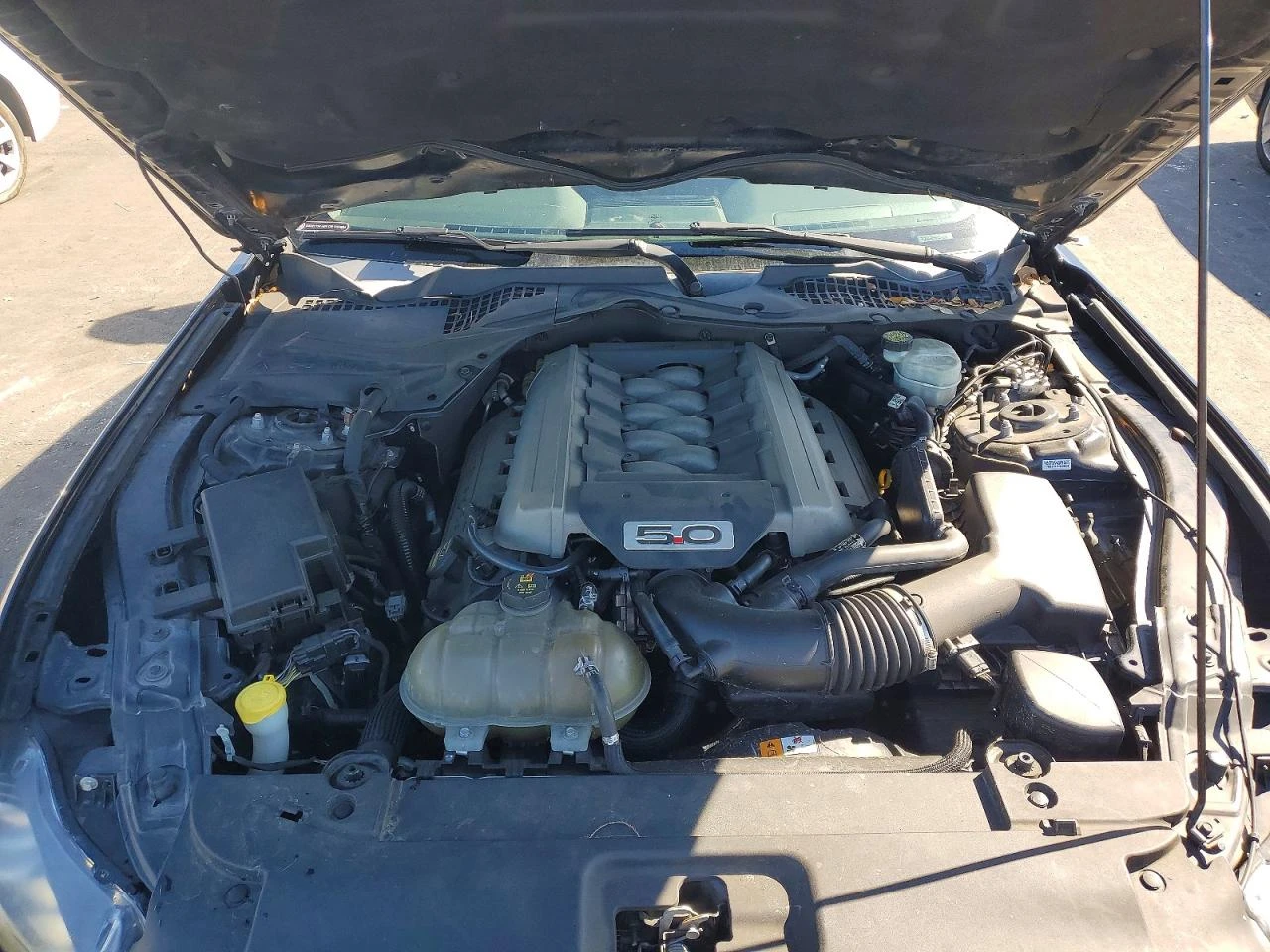 Ford Mustang 5.0l 2dr Fastback GT, снимка 11 - Автомобили и джипове - 54350931