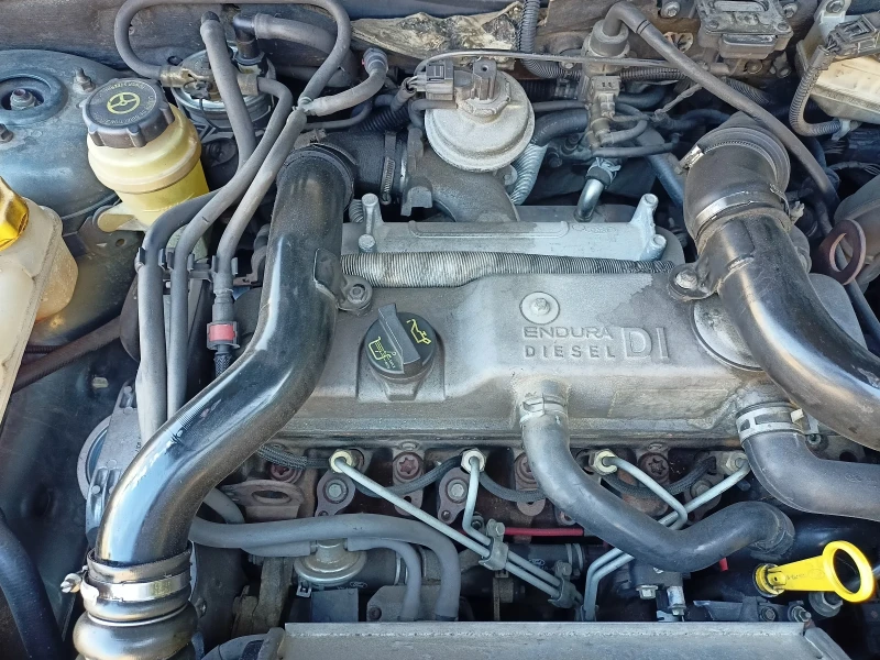 Ford Focus, снимка 14 - Автомобили и джипове - 52556853