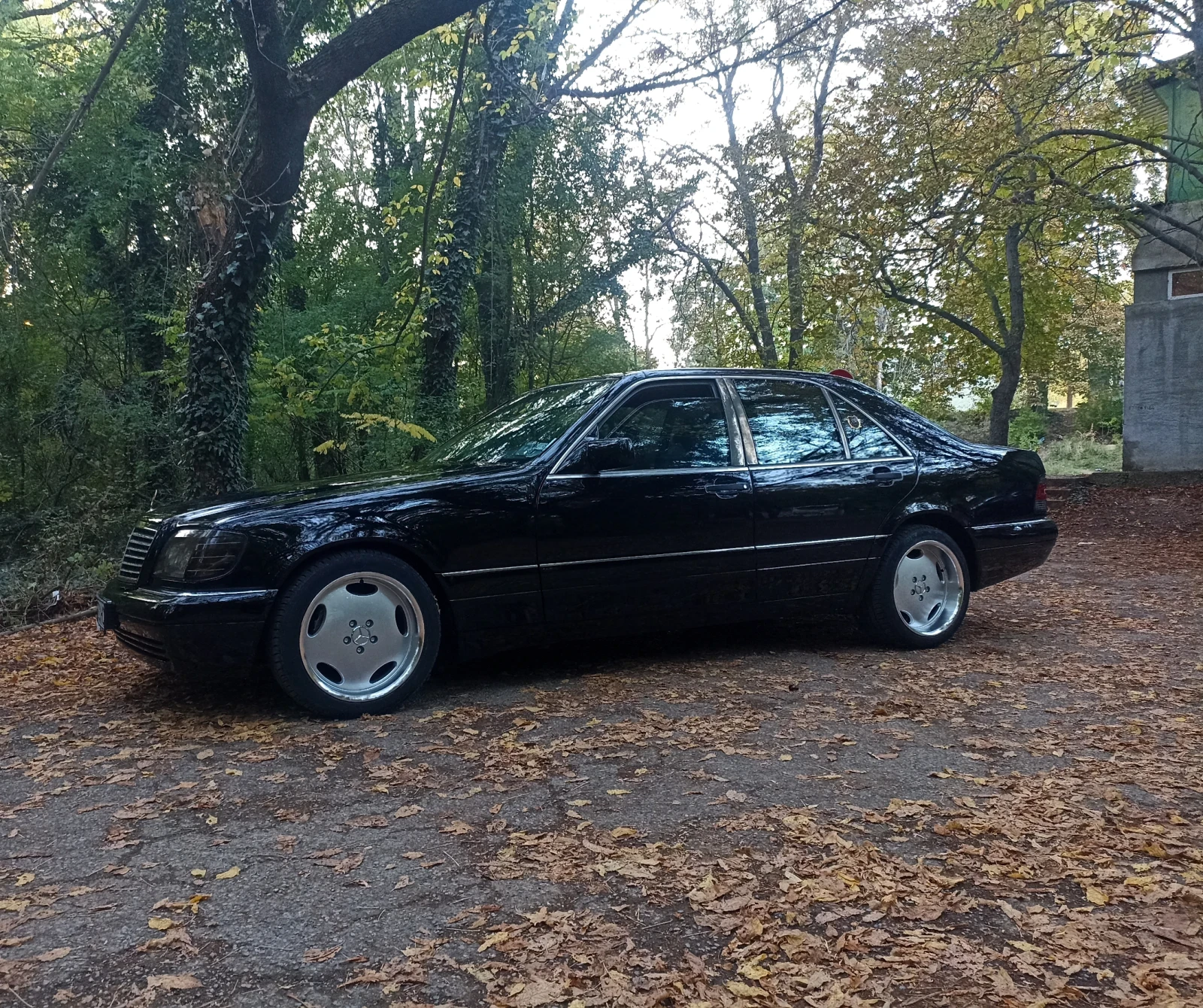 Mercedes-Benz S 350 W140  | Mobile.bg   17