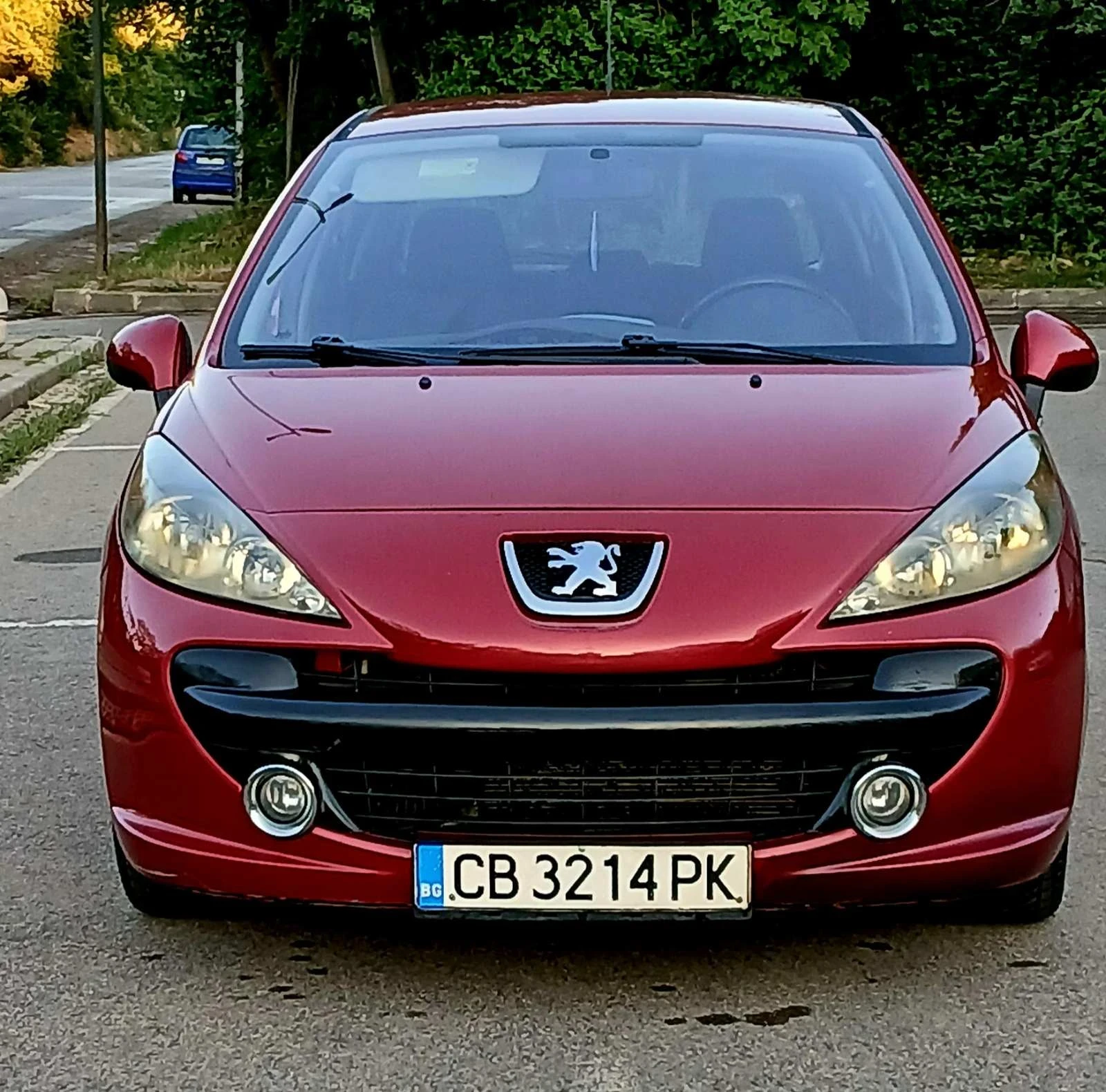 Peugeot 207 1.6 HD Топ Цена, снимка 10 - Автомобили и джипове - 55302423