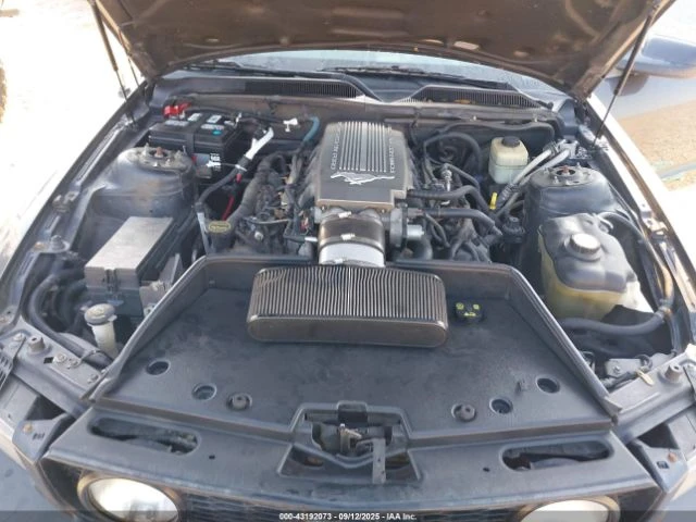 Ford Mustang GT DELUXE 2007 - изображение 10