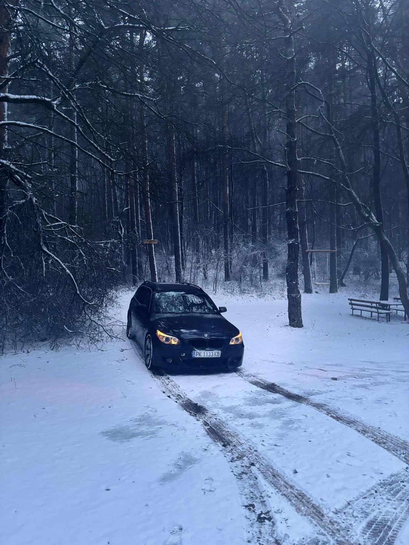 BMW 530 3.0d, снимка 10 - Автомобили и джипове - 53779770