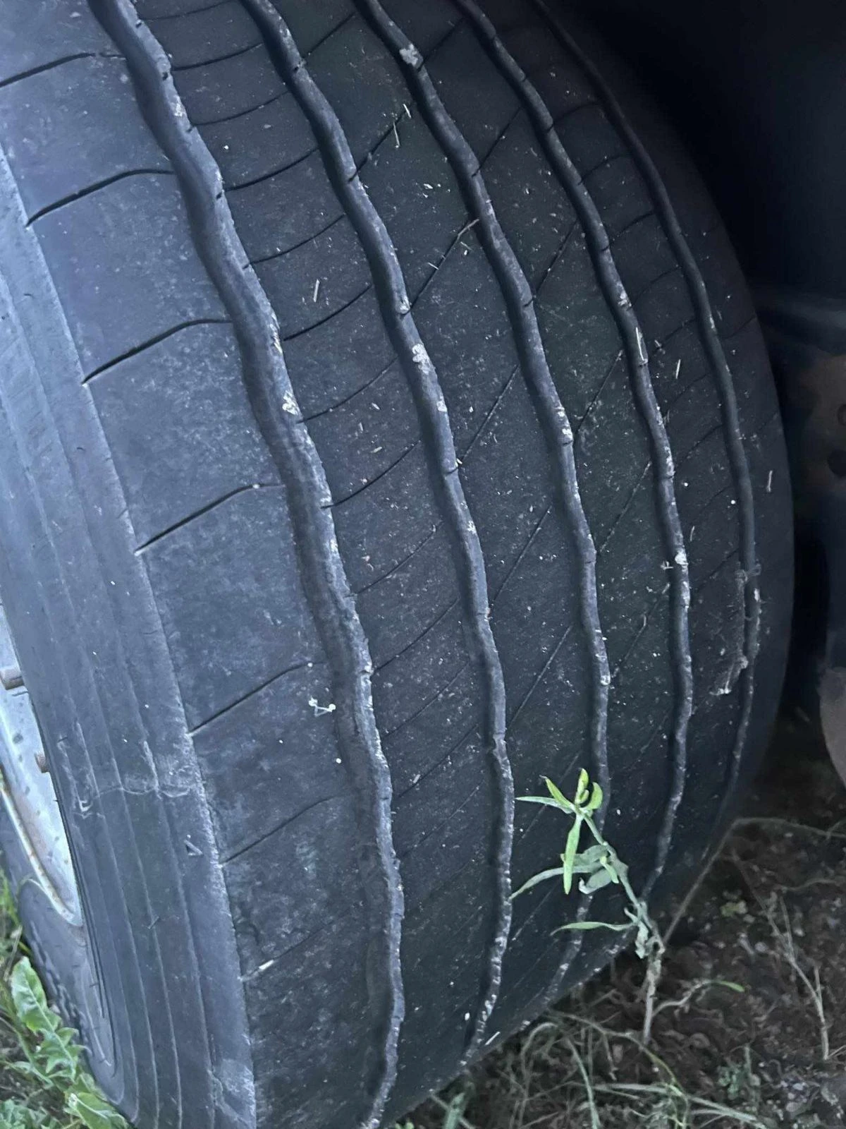 ����������� Schwarzmuller ���� | Mobile.bg � ����������� 7