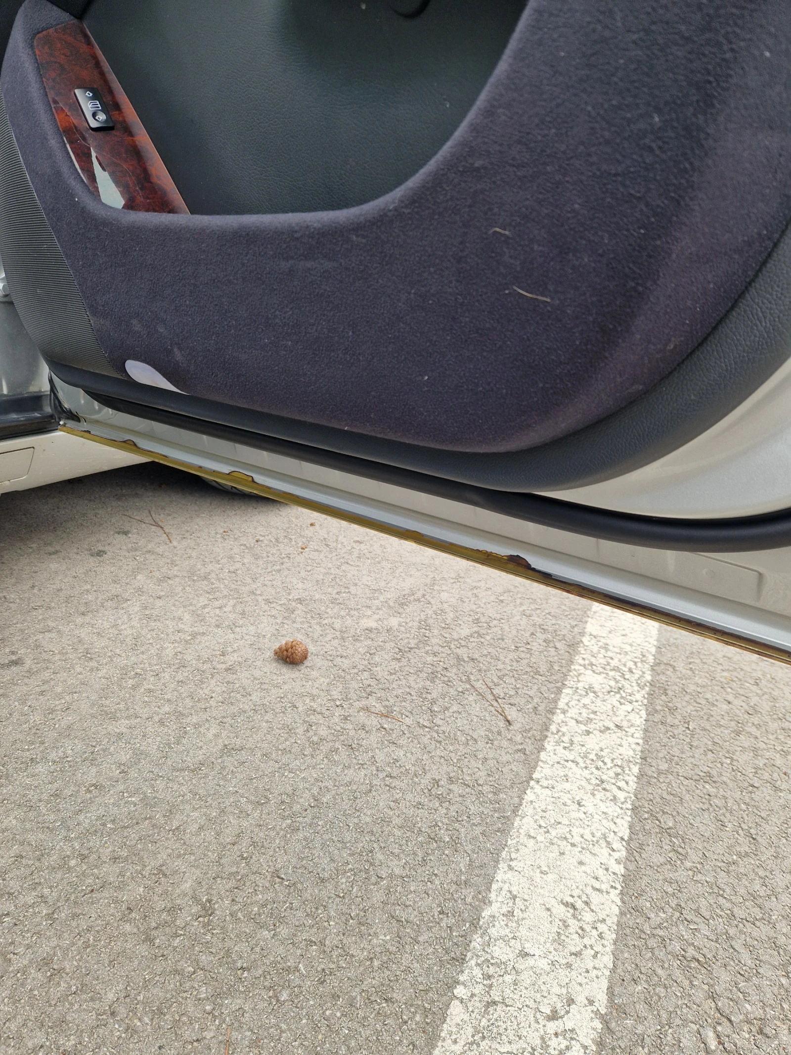 Mercedes-Benz S 320 | Mobile.bg � ����������� 2