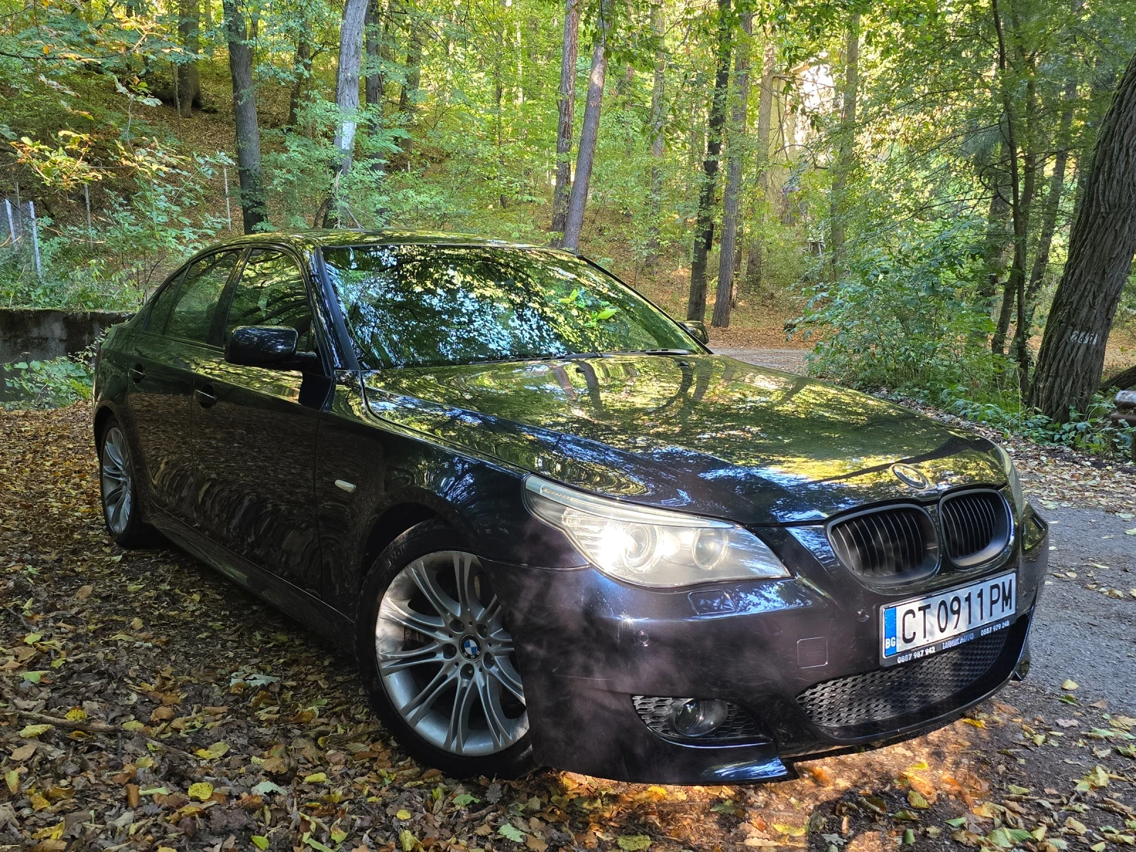 BMW 520 M пакет | Mobile.bg — изображение 4