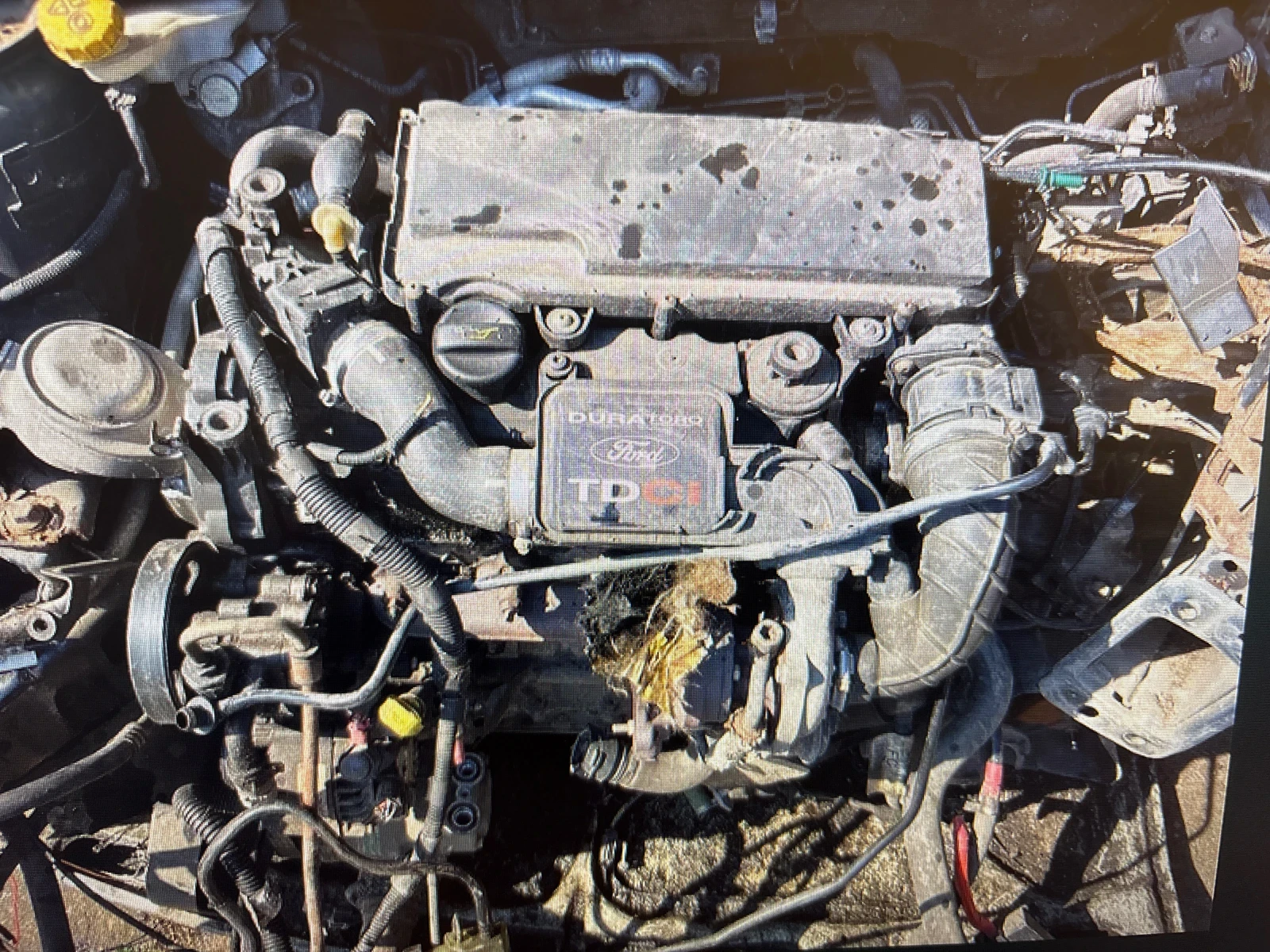 Ford Fusion   1,4tdci 68     | Mobile.bg   1