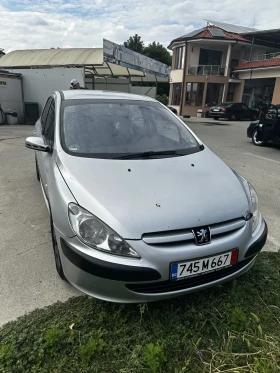     Peugeot 307