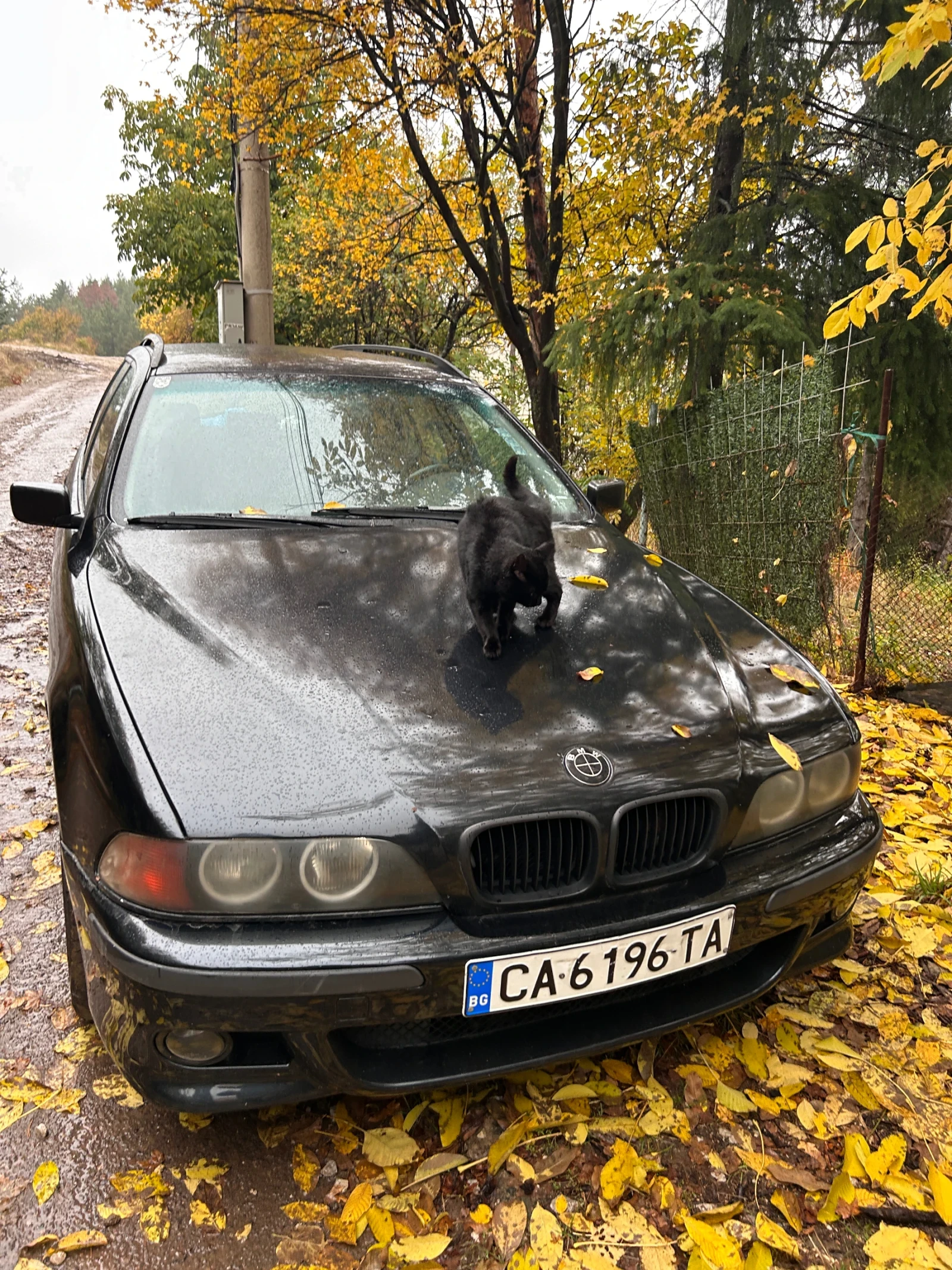 BMW 520 | Mobile.bg � ����������� 11