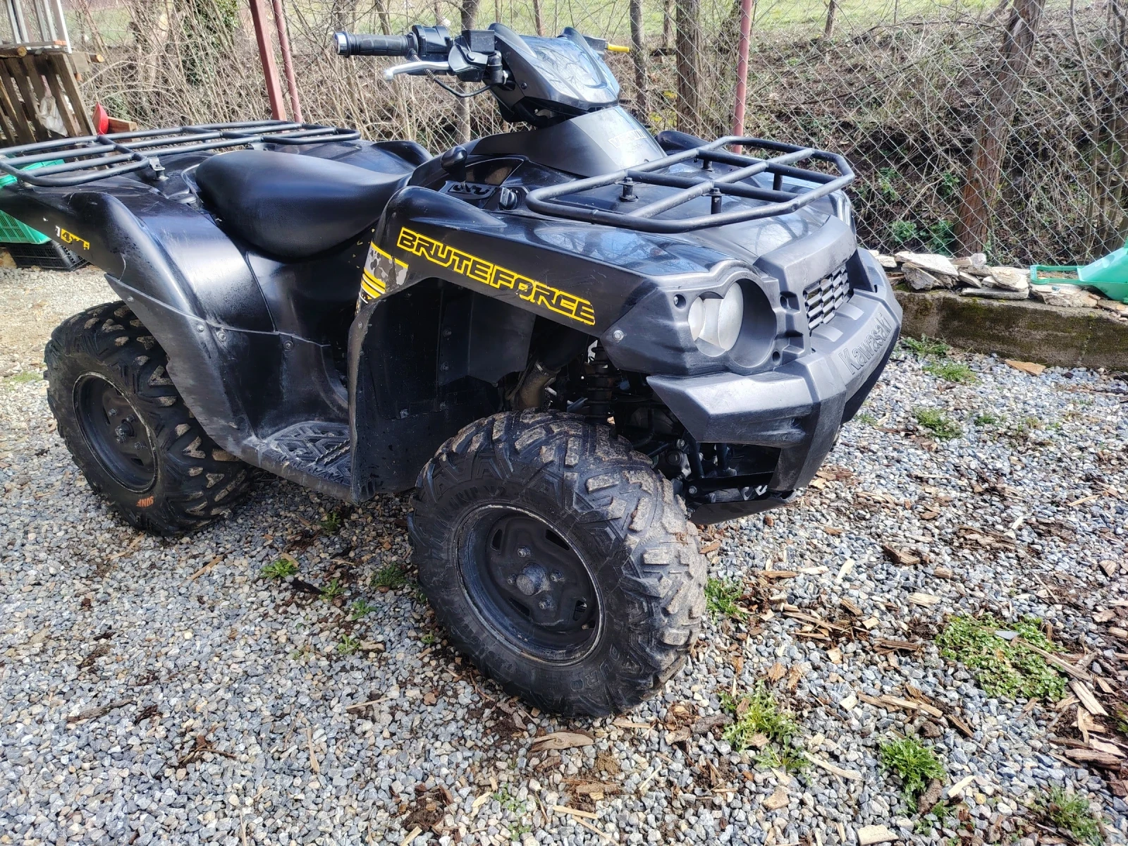 Kawasaki Brute Force