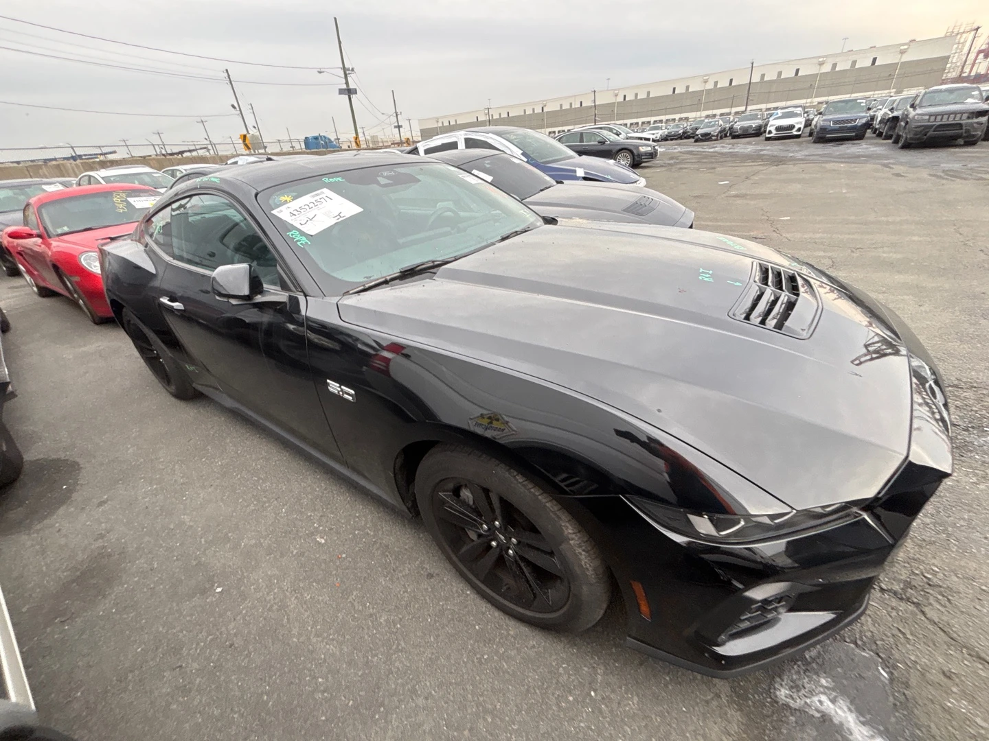 Ford Mustang GT / ������� ����  | Mobile.bg � ����������� 1