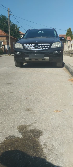 Mercedes-Benz ML 320 Не, снимка 1