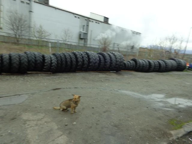 Гуми Всесезонни 235/70R16, снимка 5 - Гуми и джанти - 10813014