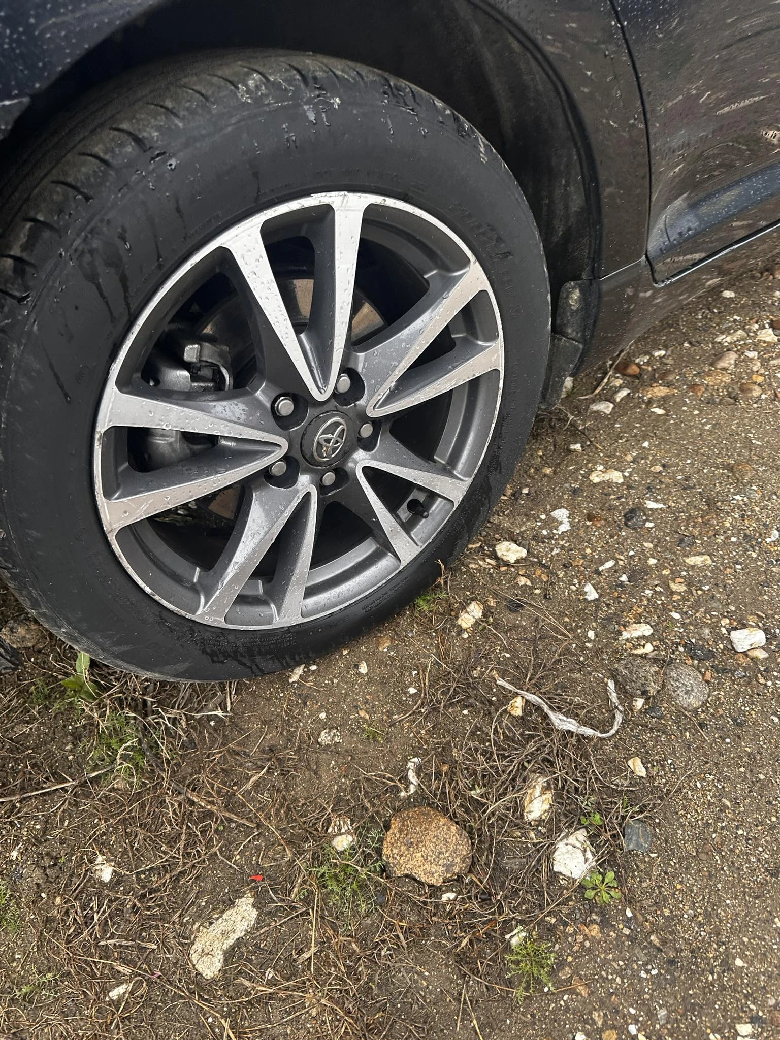   Toyota | Mobile.bg   2