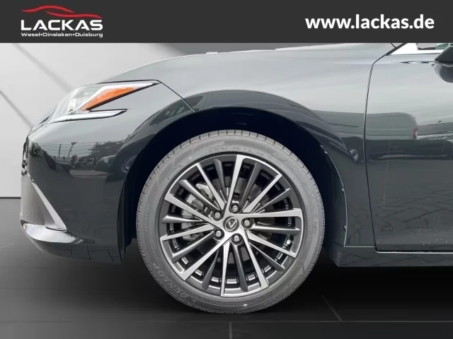 Lexus ES 300 BUSINESS/218HP/PANO/CAM/NAVI/254h, снимка 8 - Автомобили и джипове - 54856459