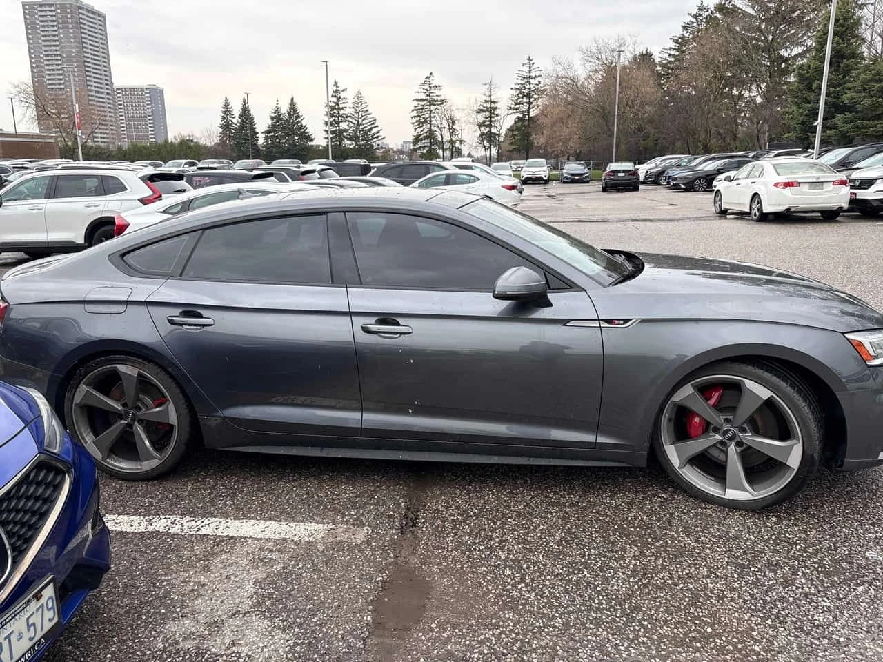 Audi S5 * Technik * CARFAX * ЦЕНА ДО БГ, снимка 3 - Автомобили и джипове - 54222836