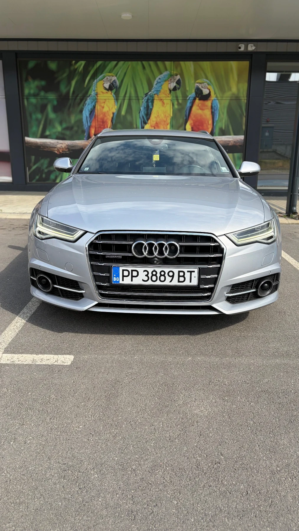 Audi A6 Audi A6 Avant 3.0 TDI 272 к.с. quattro | Matrix | 