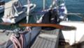 Ветроходна лодка Carter Offshore Carter 30-100%обновена/реставрирана/, снимка 13
