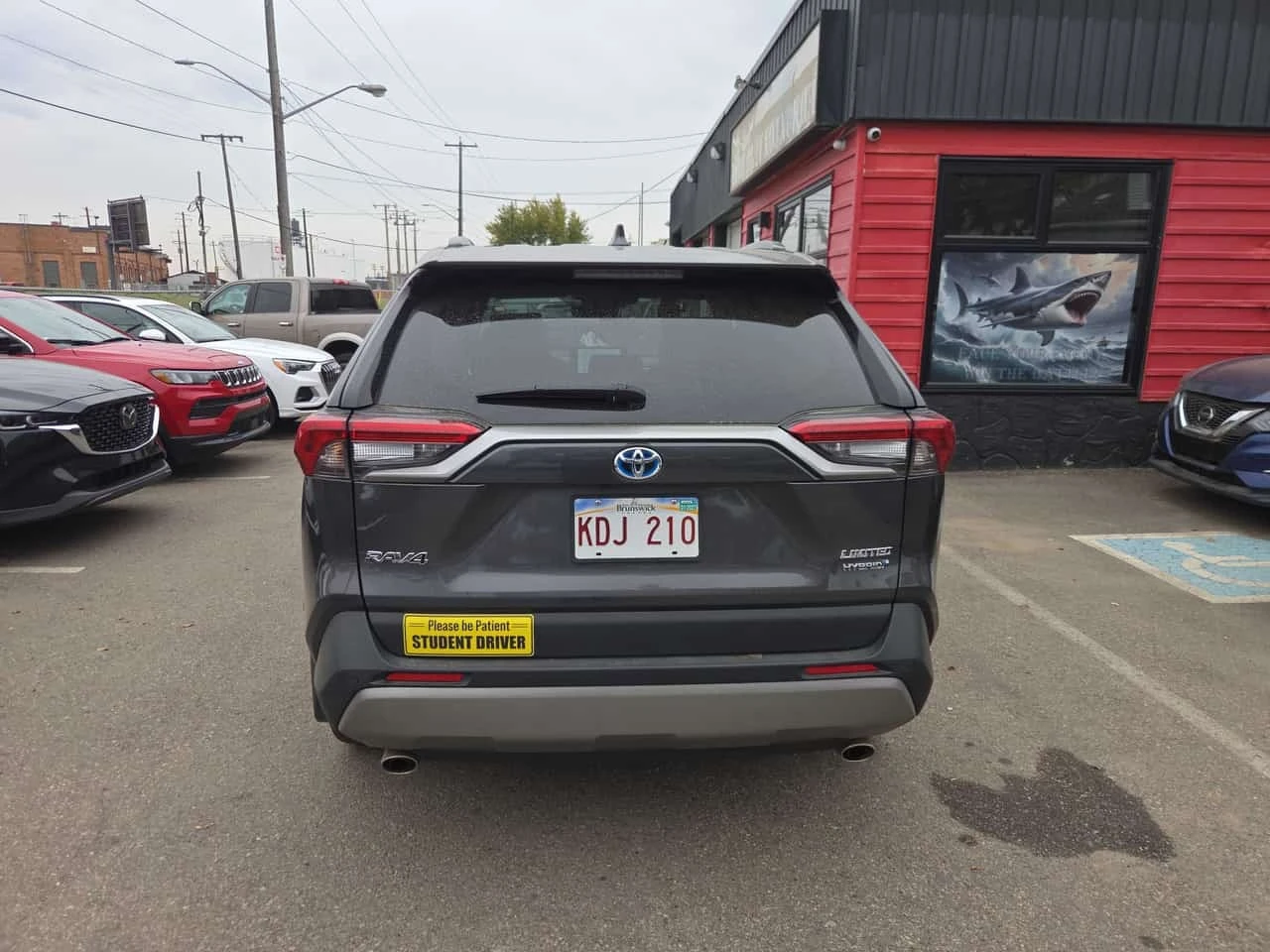 Toyota Rav4 Hybrid Limited | CARFAX | БЕЗ ИНЦИДЕНТИ , снимка 6 - Автомобили и джипове - 56239847