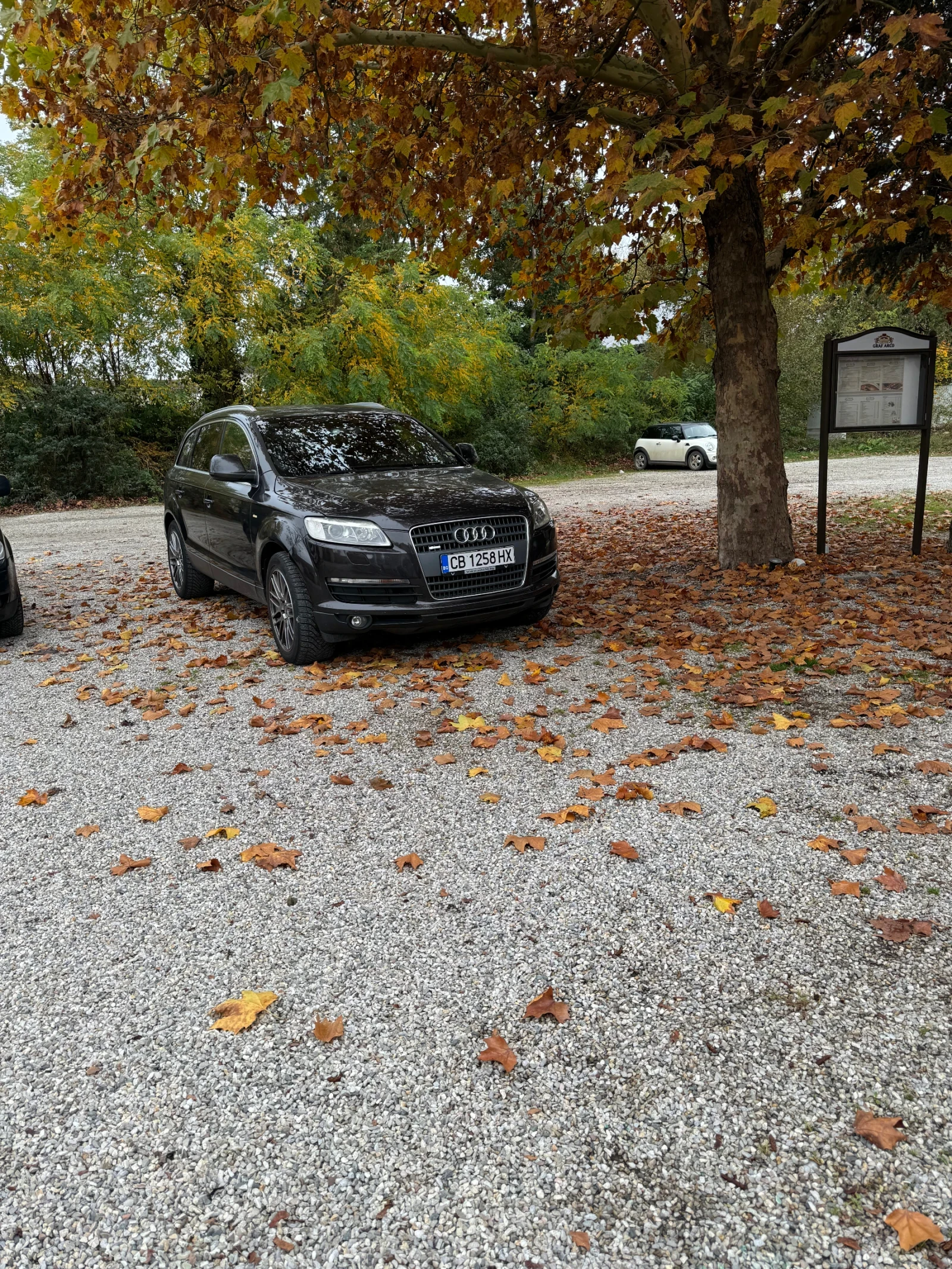 Audi Q7 4l - изображение 4