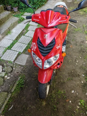 Peugeot Speedfight 50    | Mobile.bg    2