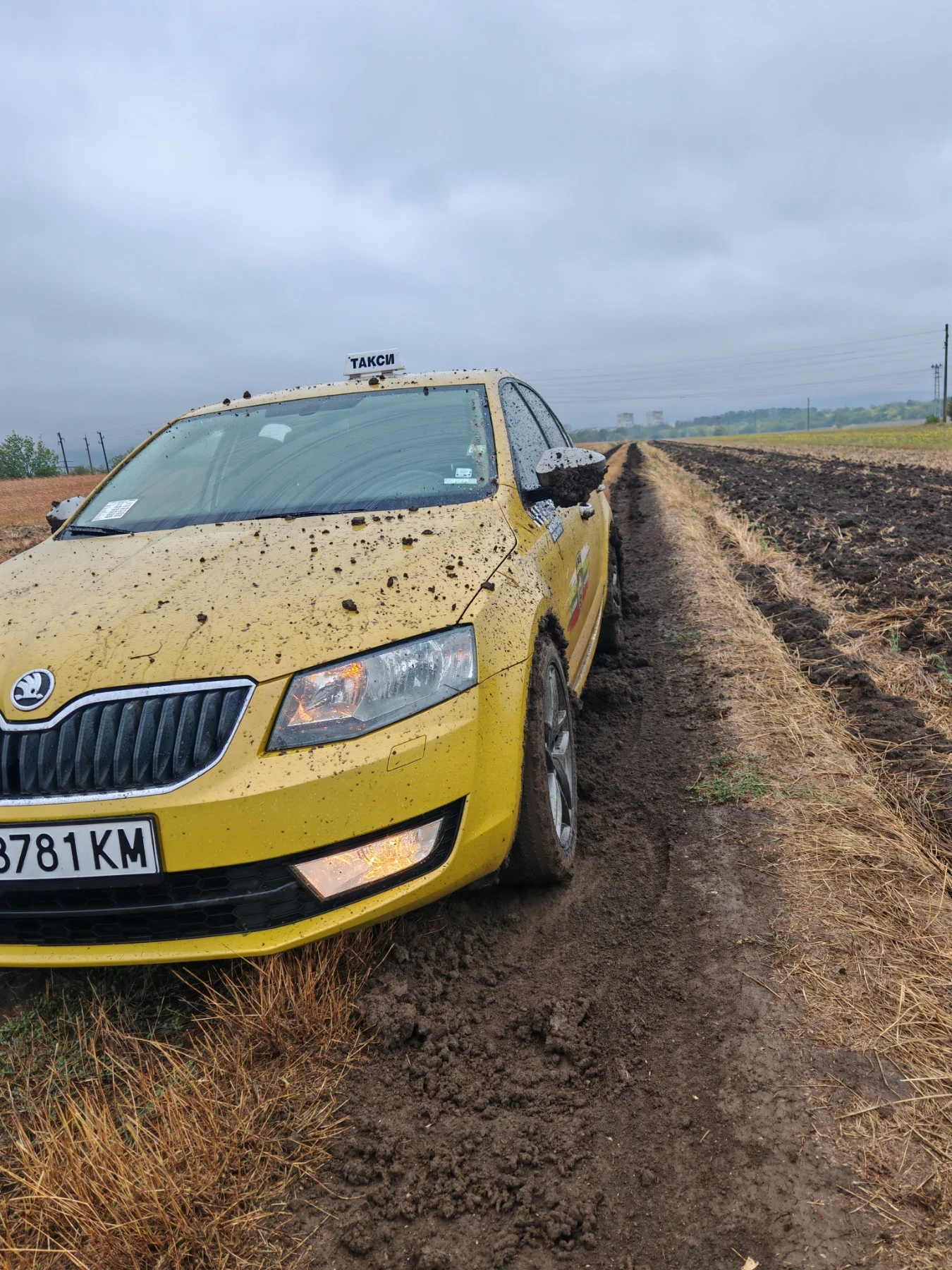 Skoda Octavia лекотоварен | Mobile.bg — изображение 2