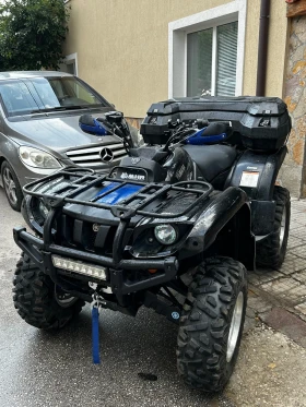     Yamaha Grizzly 660 Special edition&Vertex
