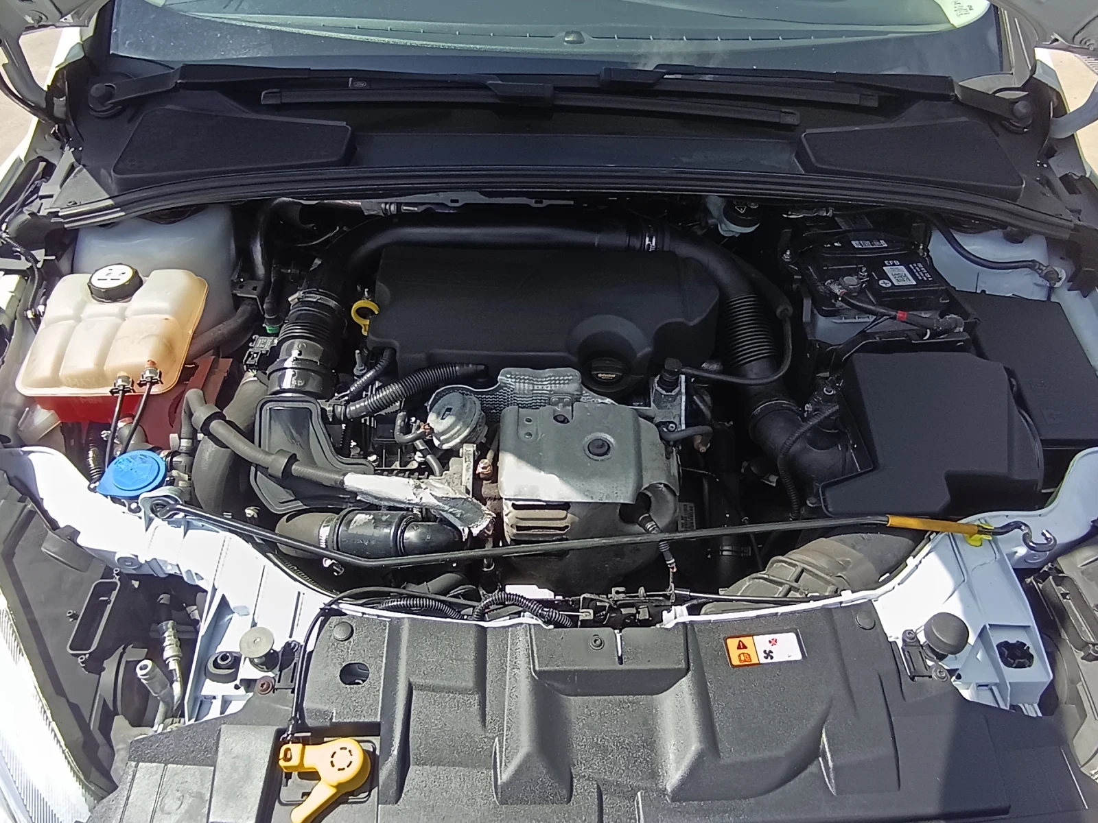 Ford Focus 1.0i | Mobile.bg � ����������� 12