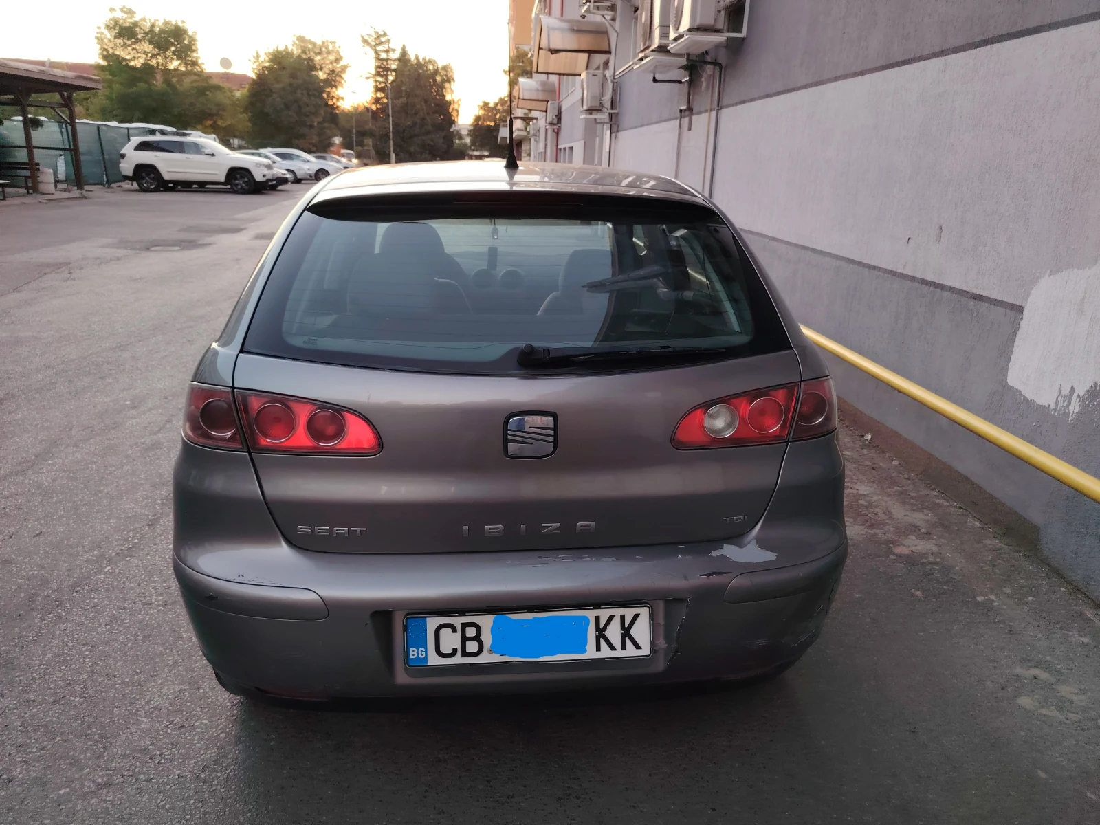 Seat Ibiza TDI, снимка 4 - Автомобили и джипове - 56536930