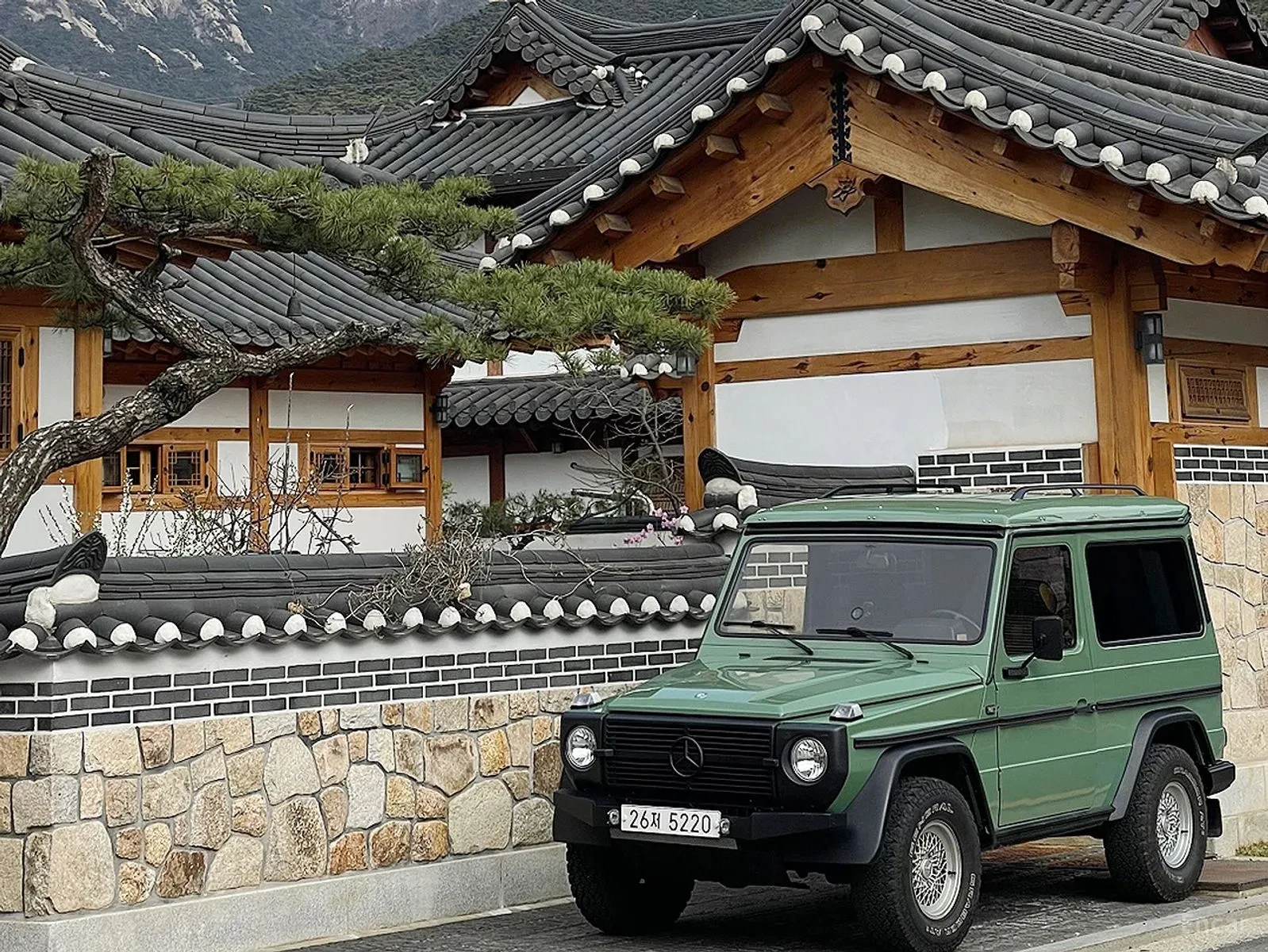 Mercedes-Benz G 300, снимка 3 - Автомобили и джипове - 55295372