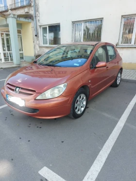  Peugeot 307