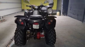 Aeon Cobra 400, снимка 8