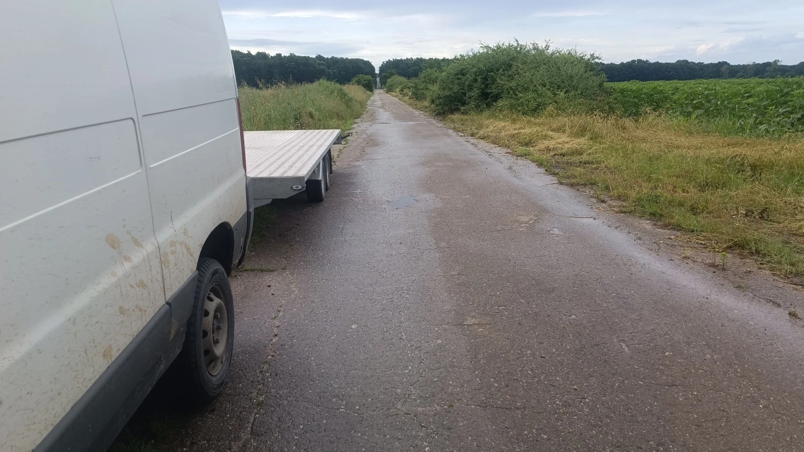   Niewiadow | Mobile.bg   6