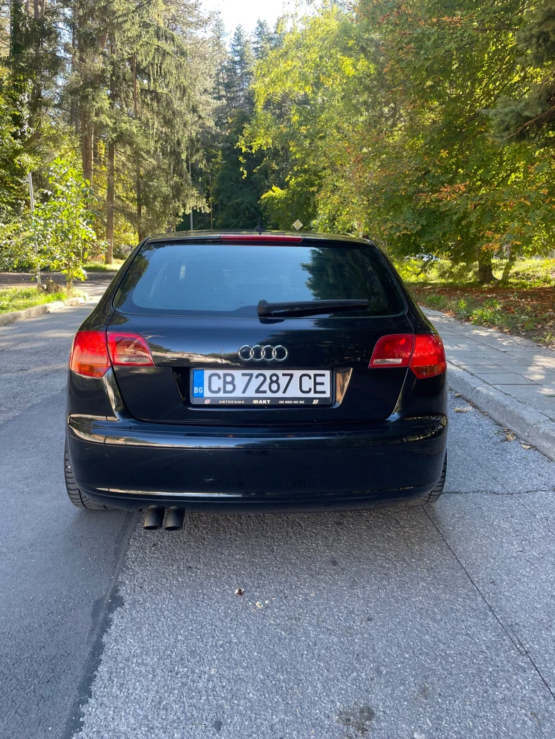 Audi A3 1.9 TDI, снимка 6 - Автомобили и джипове - 47594735