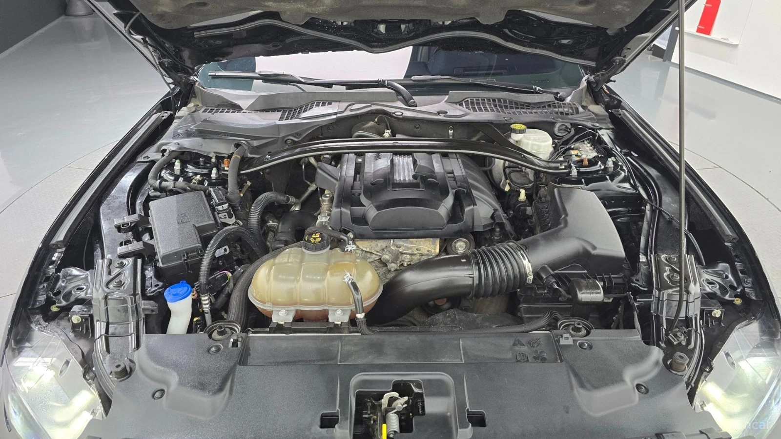 Ford Mustang ECOBOOST PREMIUM - DISTRONIC - ОБДУХ - ДИГ.ТАБЛО, снимка 6 - Автомобили и джипове - 56103951