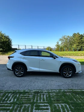Lexus NX 300h F-SPORT | Mobile.bg    6