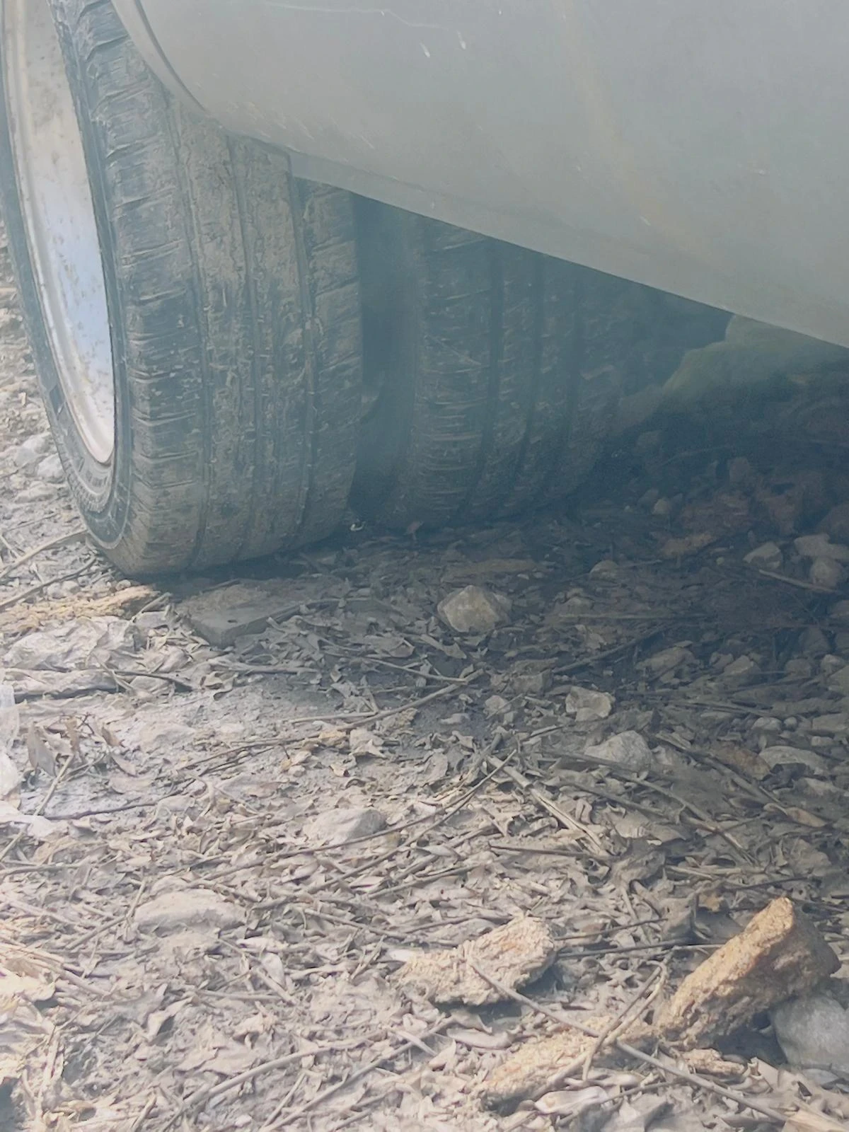 Iveco 35s12 35�12 | Mobile.bg � ����������� 5