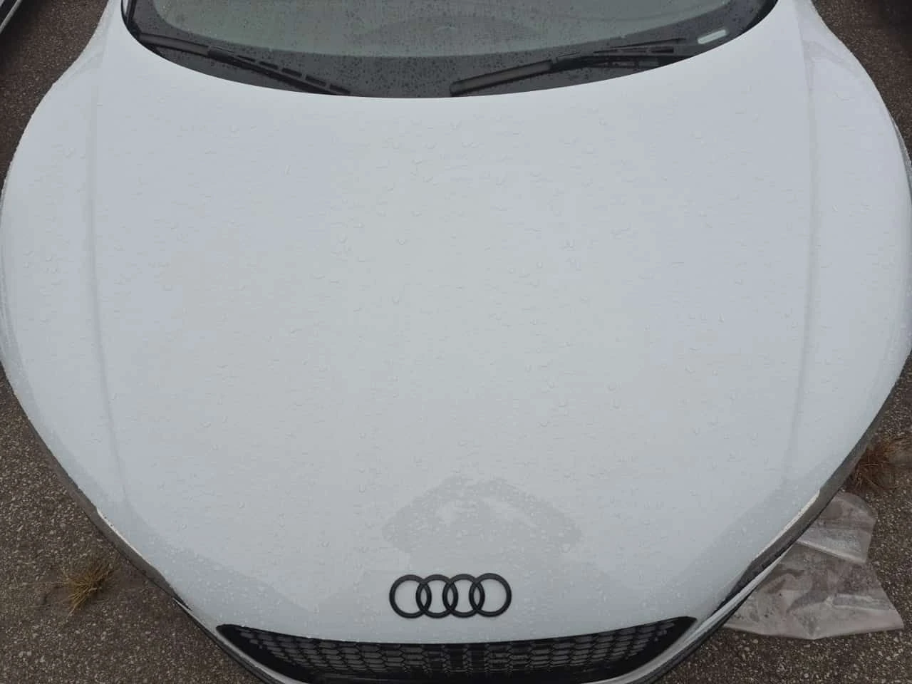 Audi R8 * V8 * CARFAX * CABRIO *  | Mobile.bg � ����������� 6