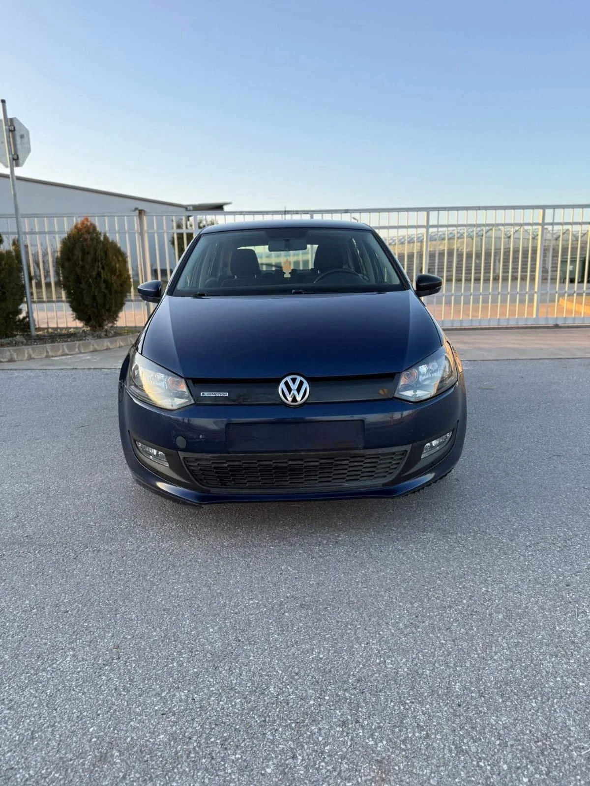 VW Polo