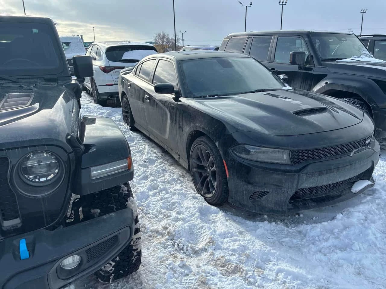 Dodge Charger * R/T RWD * 5.7* ������ * �������* NAVI | Mobile.bg � ����������� 3