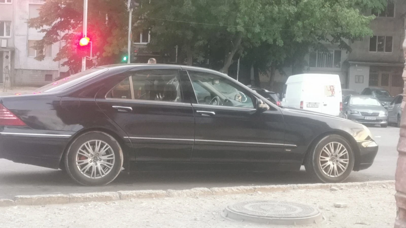 Mercedes-Benz S 320 Long  | Mobile.bg   11