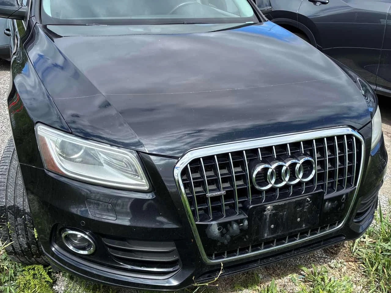 Audi Q5 * 2.0L Technik * CARFAX * ОТ ПРЕДСТАВИТЕЛСТВО, снимка 6 - Автомобили и джипове - 54939296