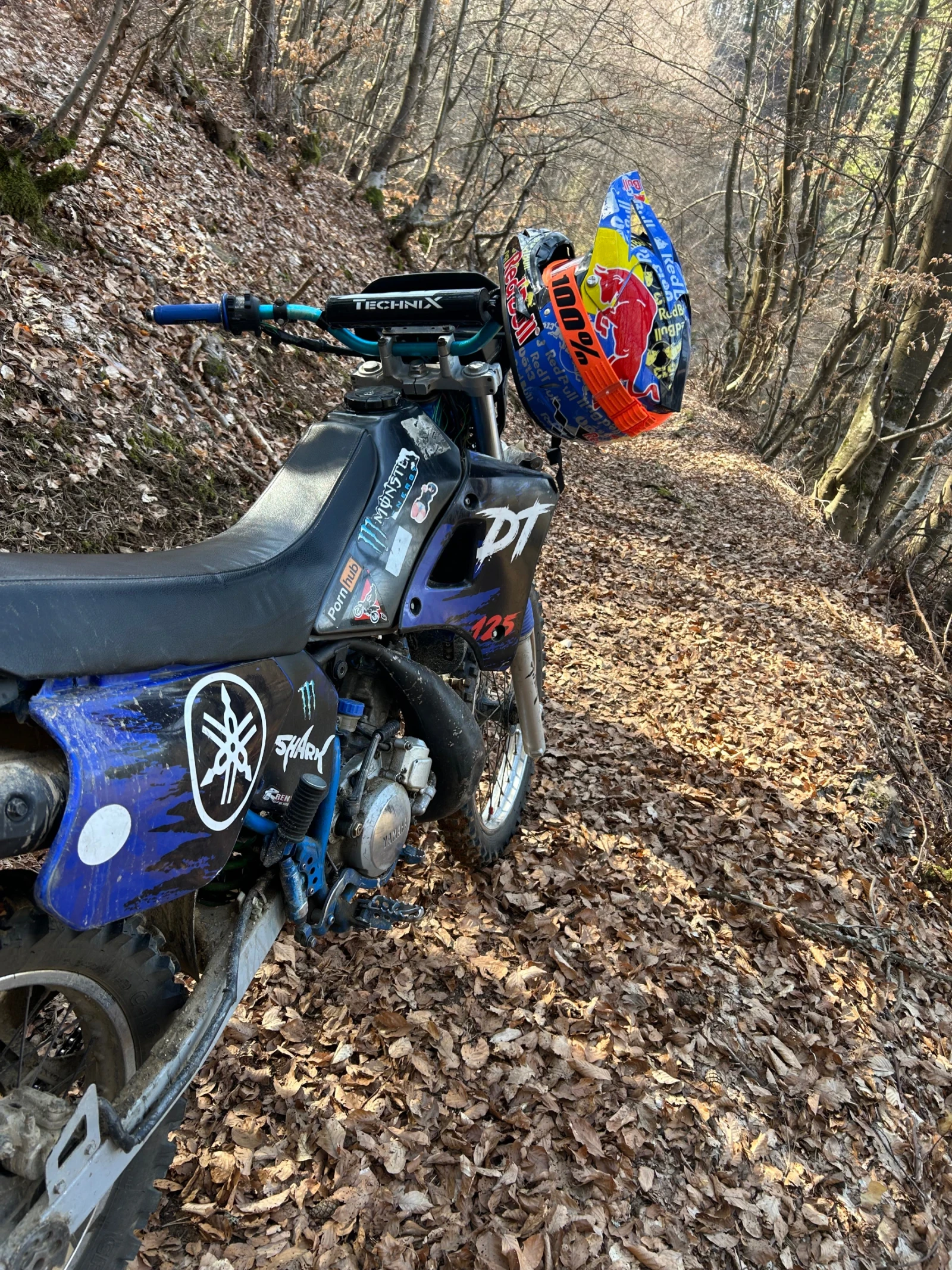 Yamaha Dt  - изображение 3