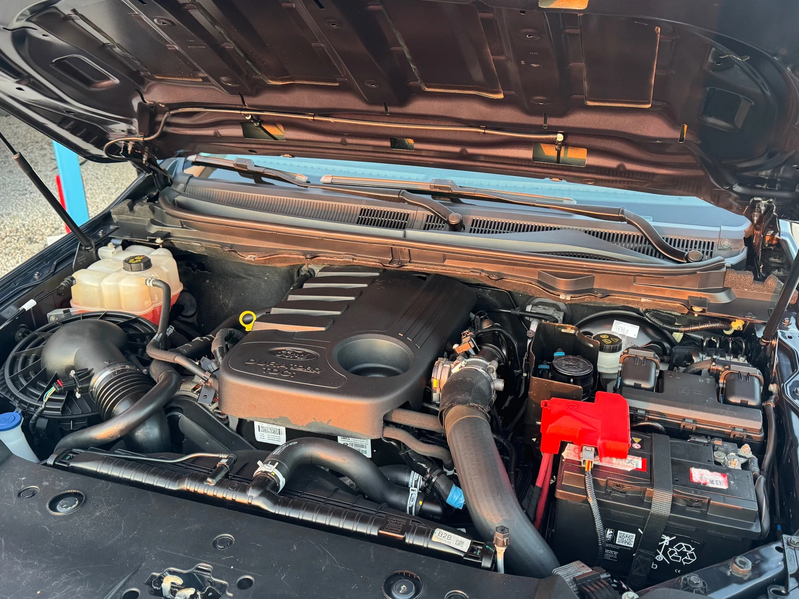 Ford Ranger 3, 2 /2 ������ �������� | Mobile.bg � ����������� 17