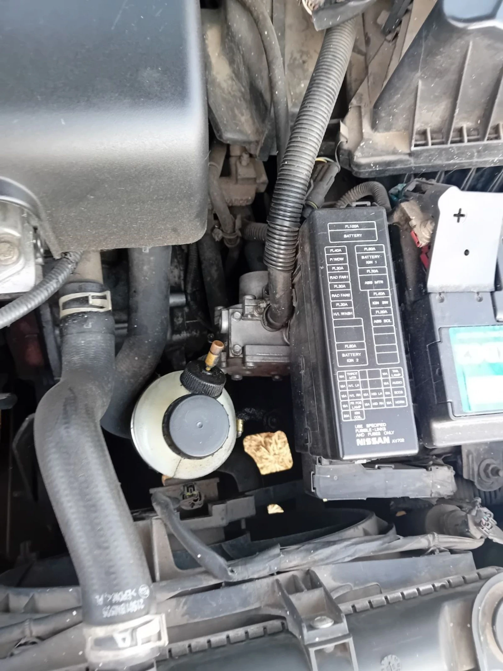 Nissan Primera  - изображение 5