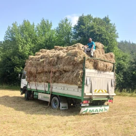 Steyr 11s18, снимка 4