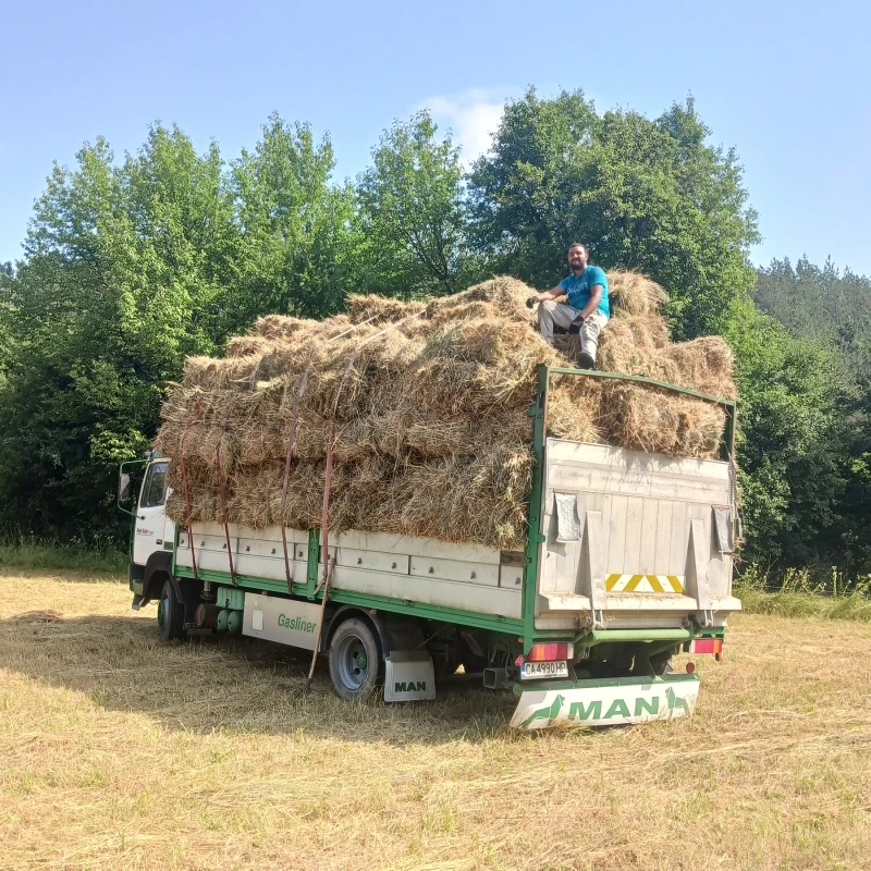 Steyr 11s18, снимка 4 - Камиони - 48437553