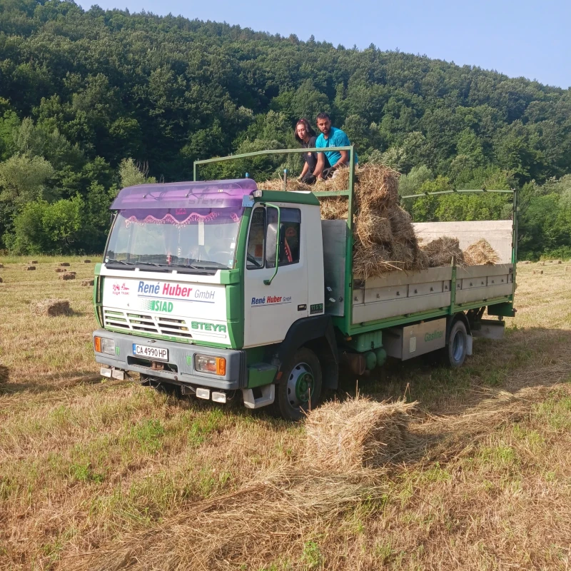 Steyr 11s18, снимка 3 - Камиони - 48437553