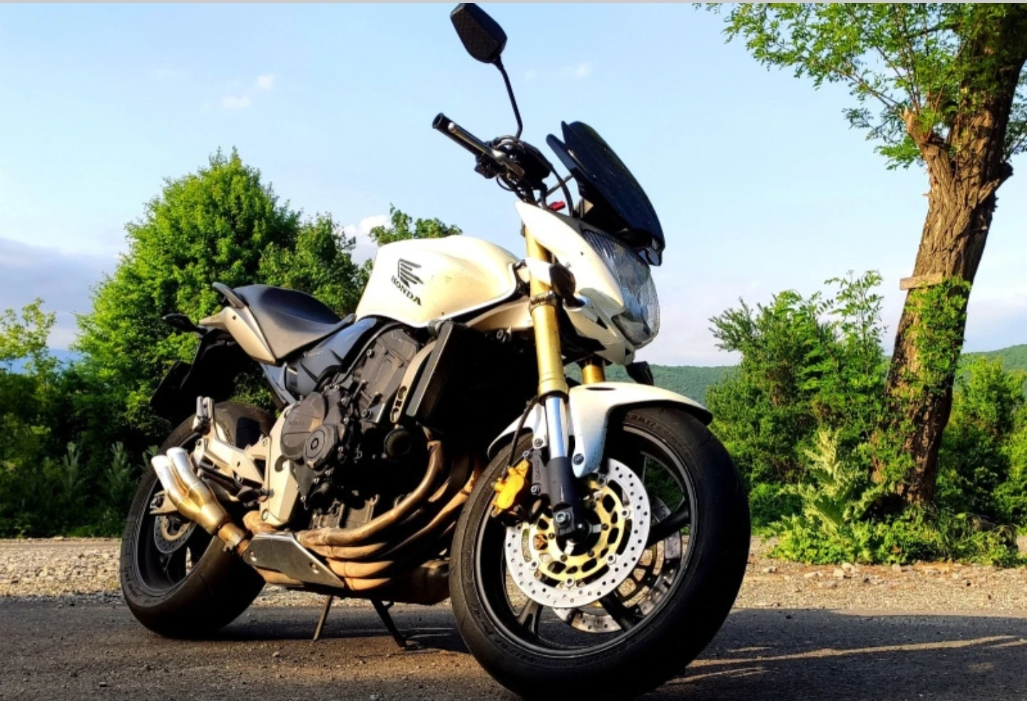 Honda Cb 600F Hornet | Mobile.bg � ����������� 1