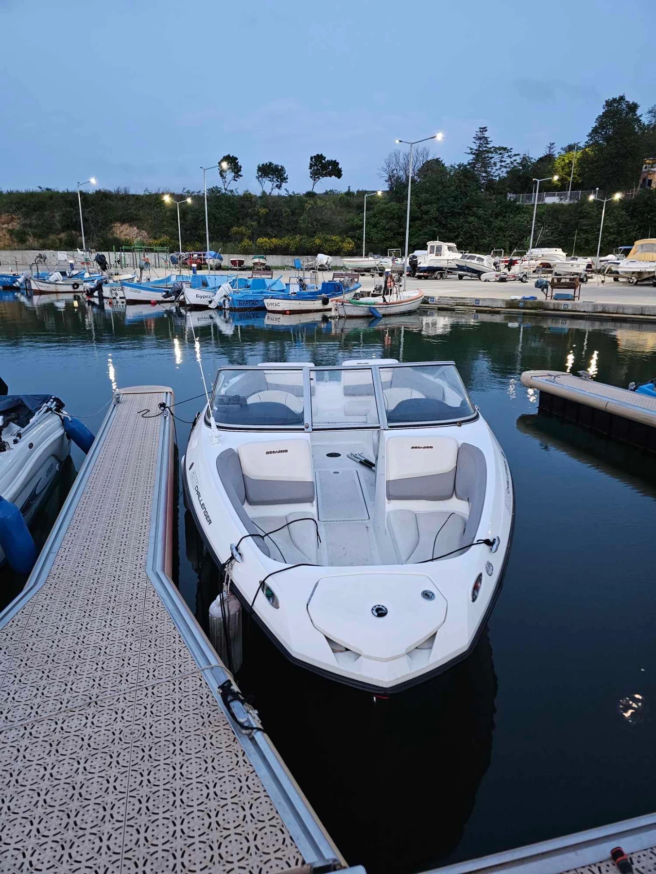 Лодка Bombardier Sea Doo 210 Challenger S - изображение 2